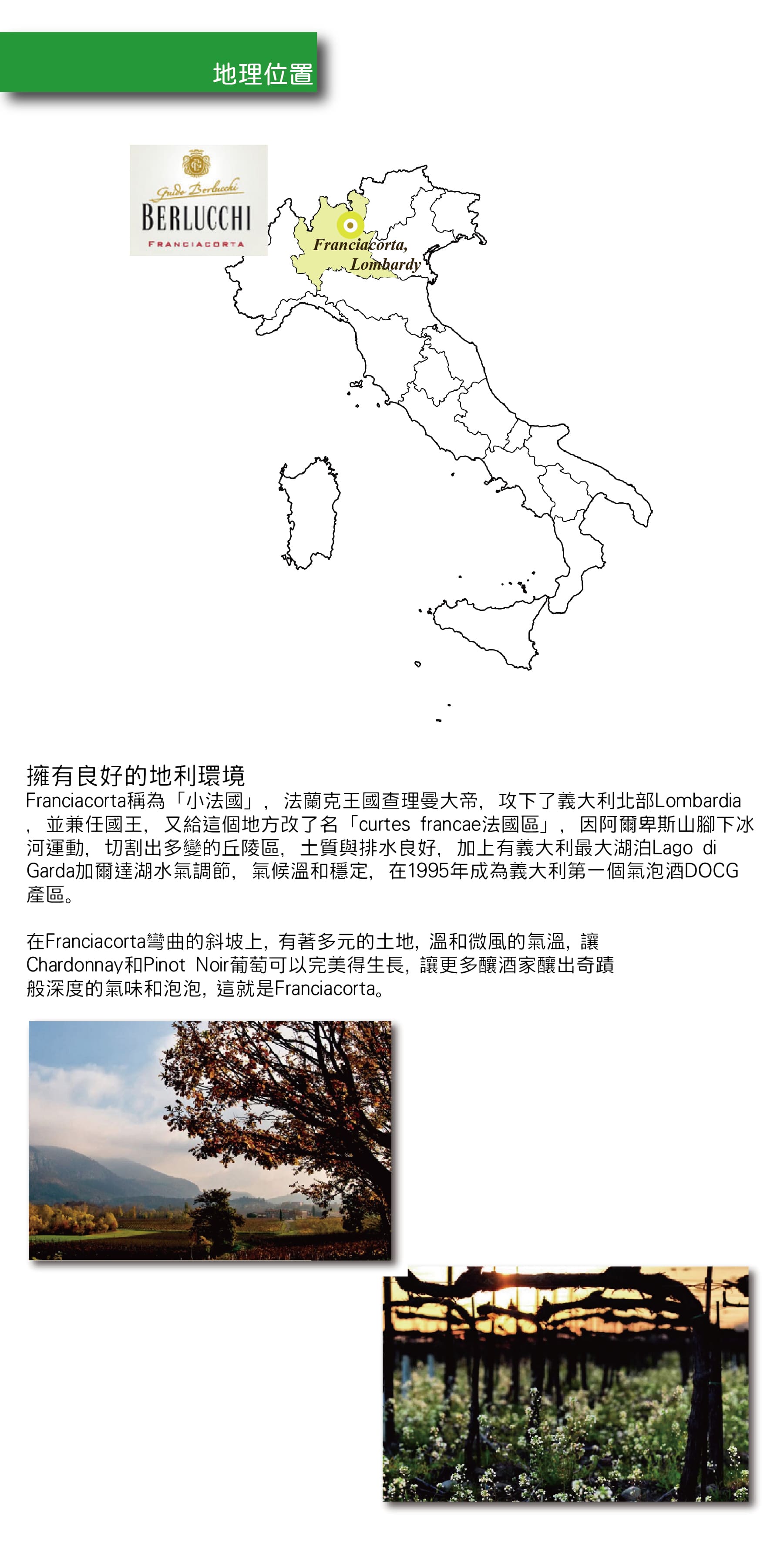 BERLUCCHI網站簡介02