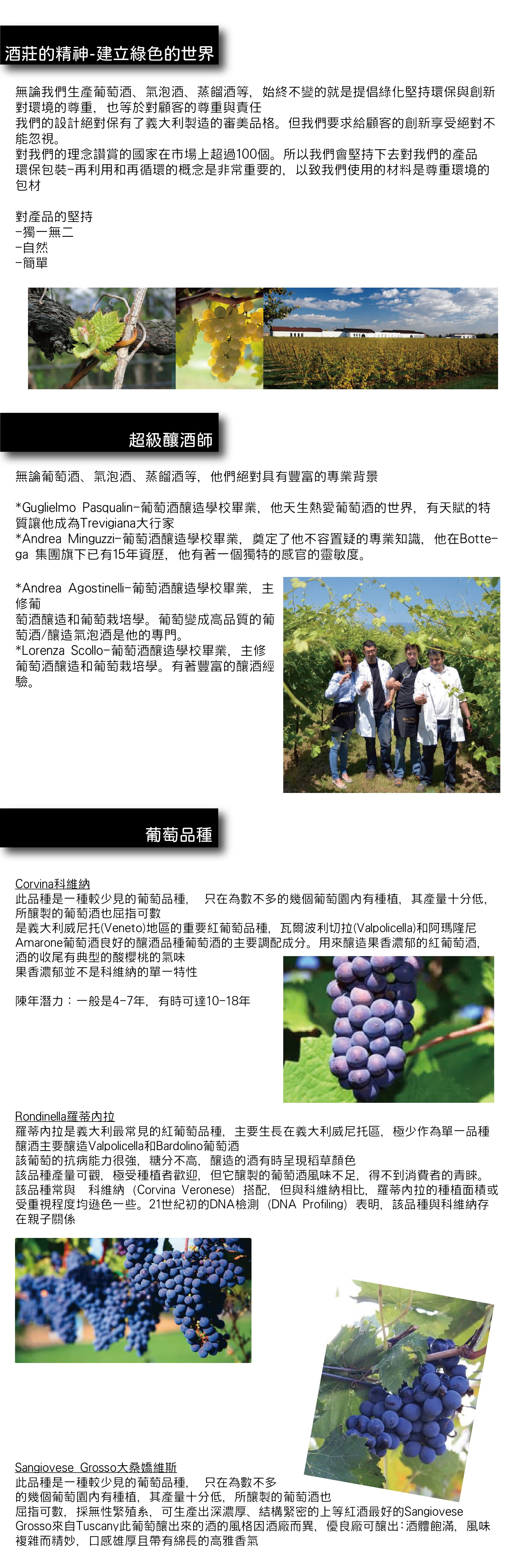 bottega 寶麗嘉網站02